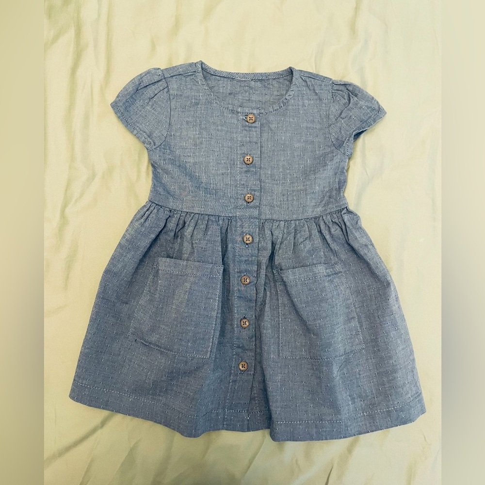 Baby Organic Cotton Dress, 9-12M, Little Planet by Carter’s